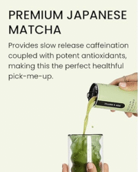 Pop & Bottle Matcha Green Tea Latte – 12 Pack (8 fl oz) - Image 7